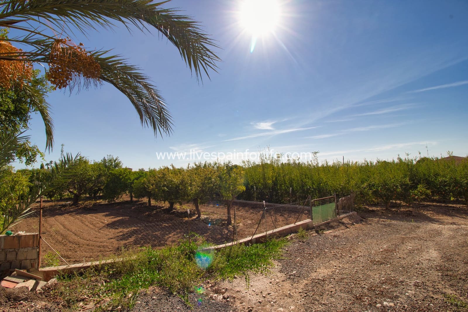 4 camera da letto Finca/Casa di Campagna in vendita in Crevillente / Crevillent con piscina garage - 495.000 € (Rif: 9730421)