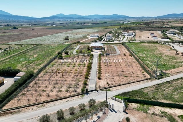 Chalet de 4 habitaciones en Pinoso en venta - 650.006 € (Ref: 9730438)