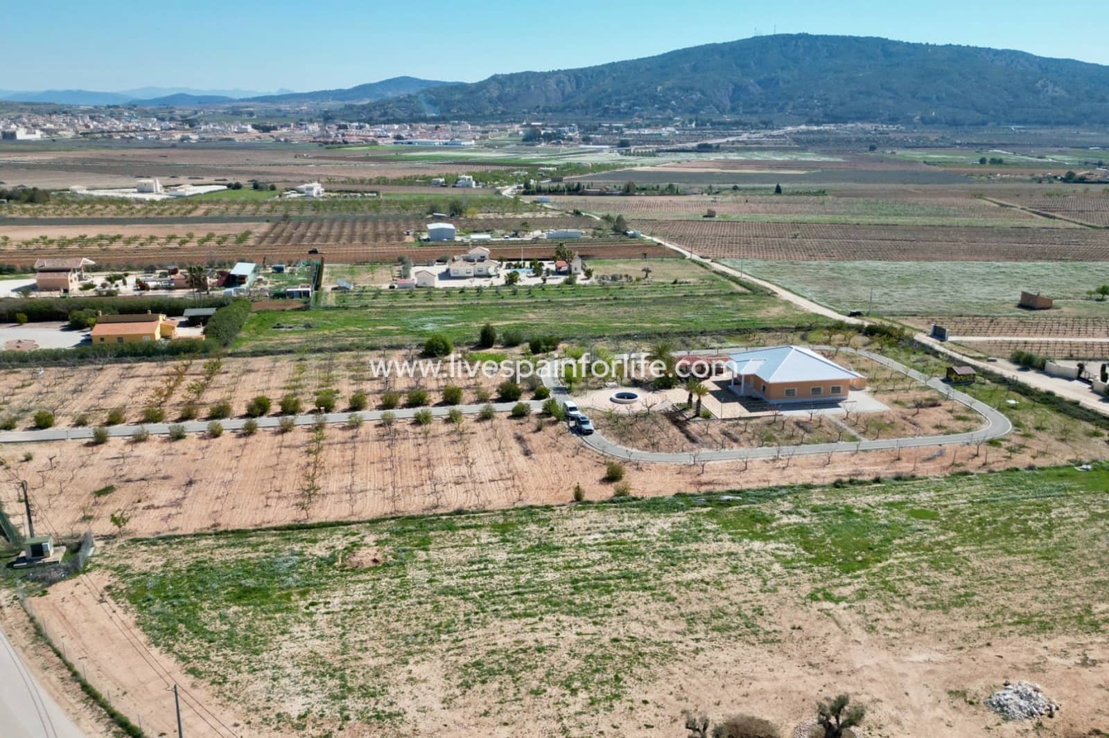 Chalet de 4 habitaciones en Pinoso en venta - 650.006 € (Ref: 9730438)