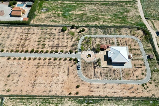 Chalet de 4 habitaciones en Pinoso en venta - 650.006 € (Ref: 9730438)