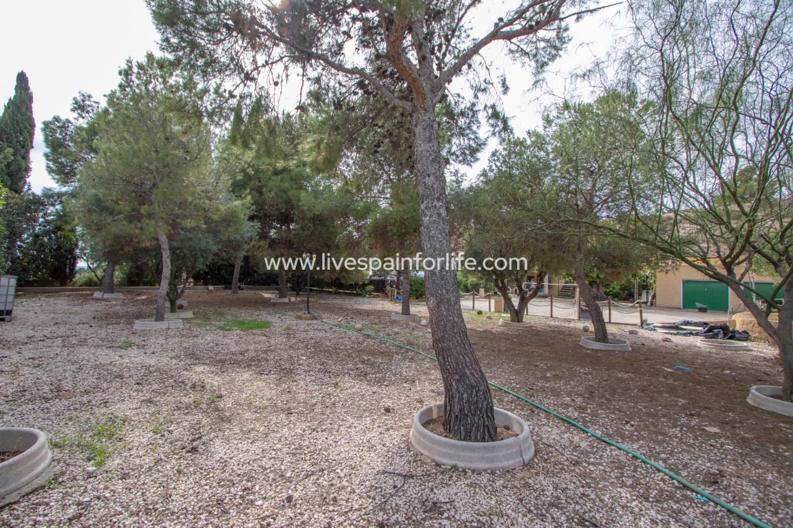 3 camera da letto Finca/Casa di Campagna in vendita in Crevillente / Crevillent con piscina garage - 290.000 € (Rif: 9730891)