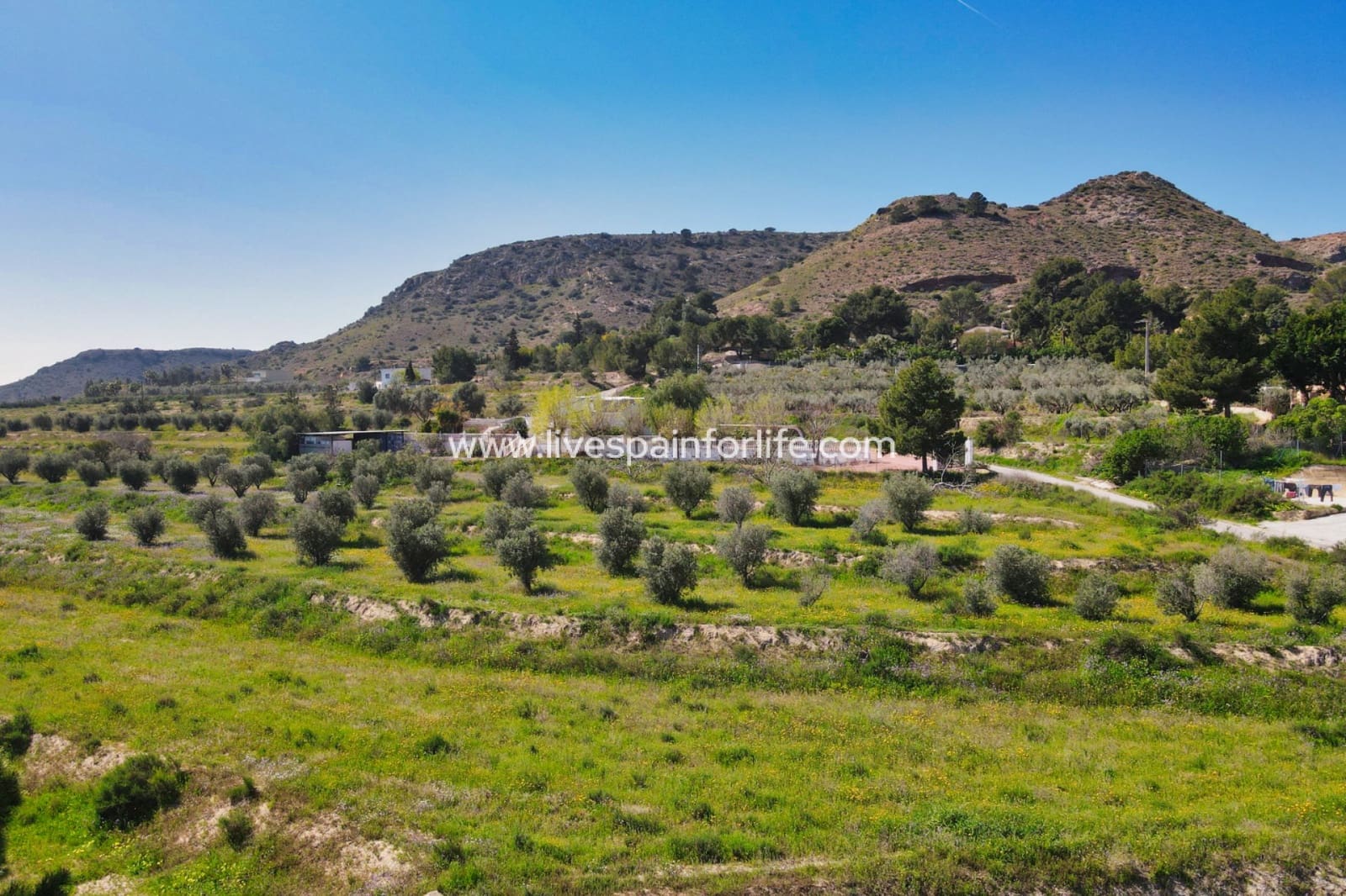 Terrain à Bâtir à vendre à Aspe - 80 000 € (Ref: 9730892)