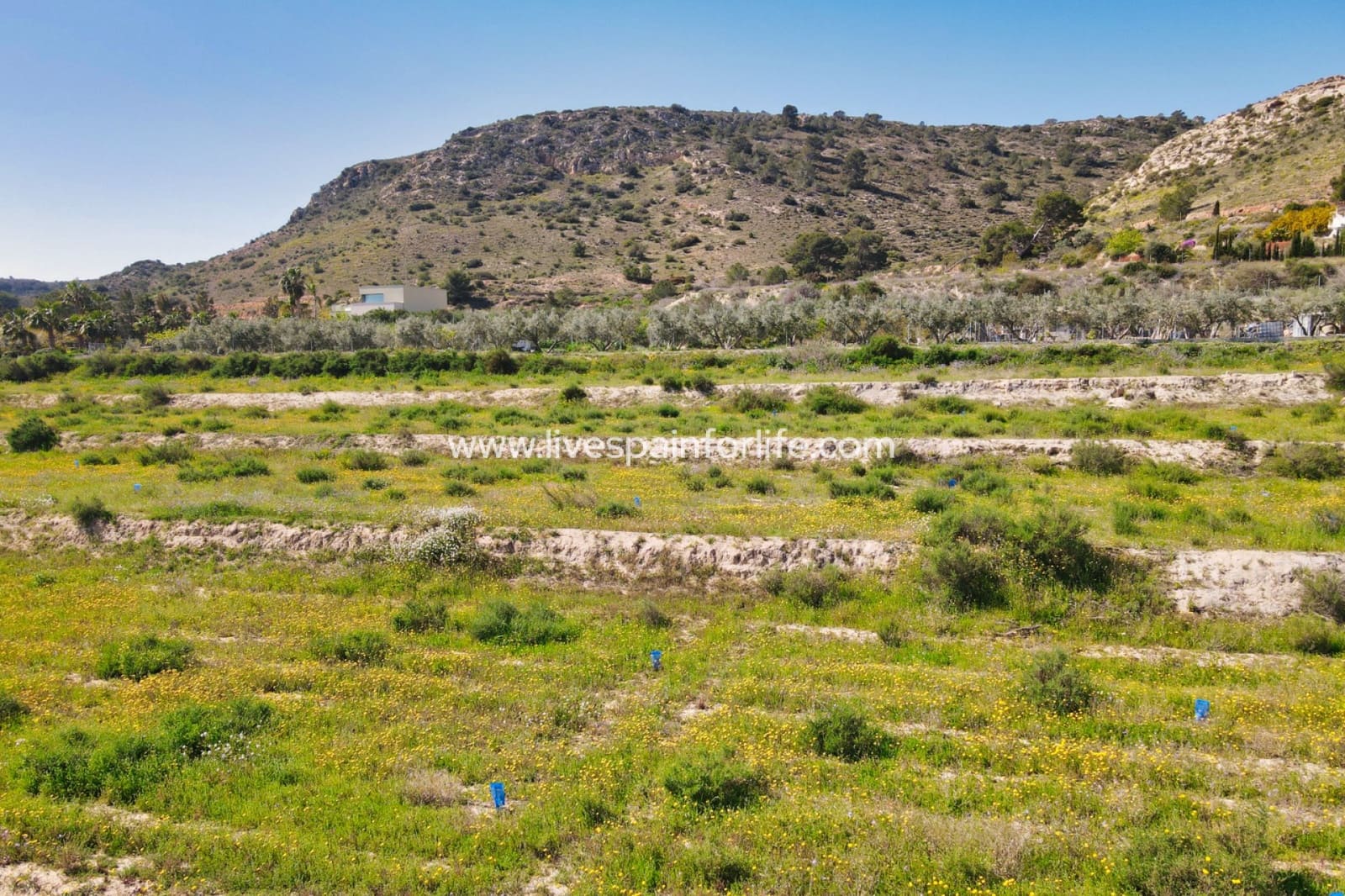 Terrain à Bâtir à vendre à Aspe - 80 000 € (Ref: 9730893)