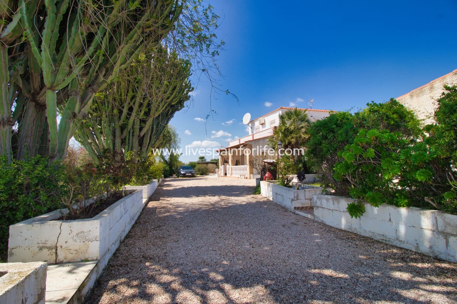 3 soveværelse Finca/Landehus til salg i Albatera med swimmingpool garage - € 250.000 (Ref: 9733741)