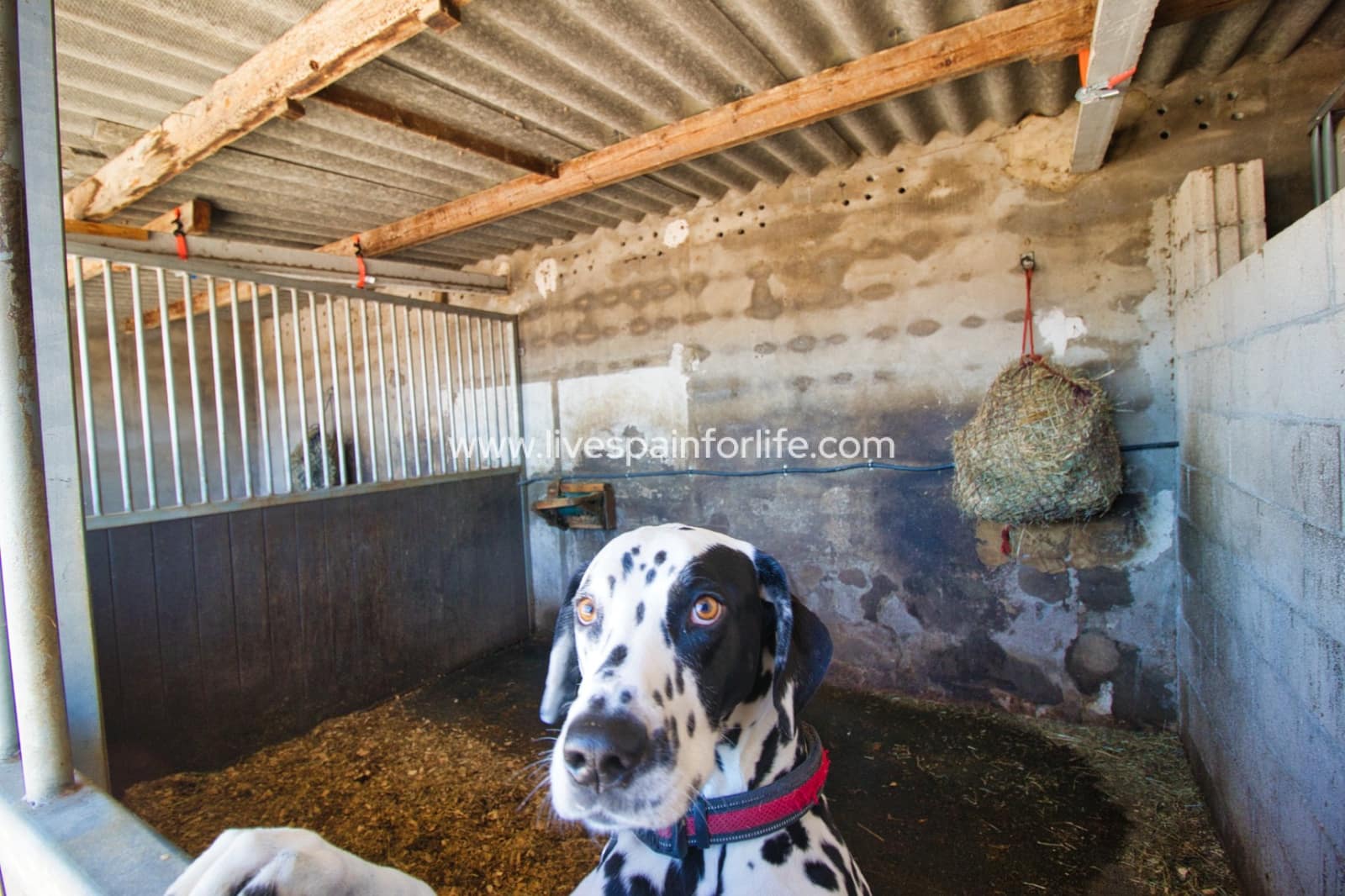 2 soveværelse Finca/Landehus til salg i Monovar / Monover med swimmingpool garage - € 200.000 (Ref: 9737068)