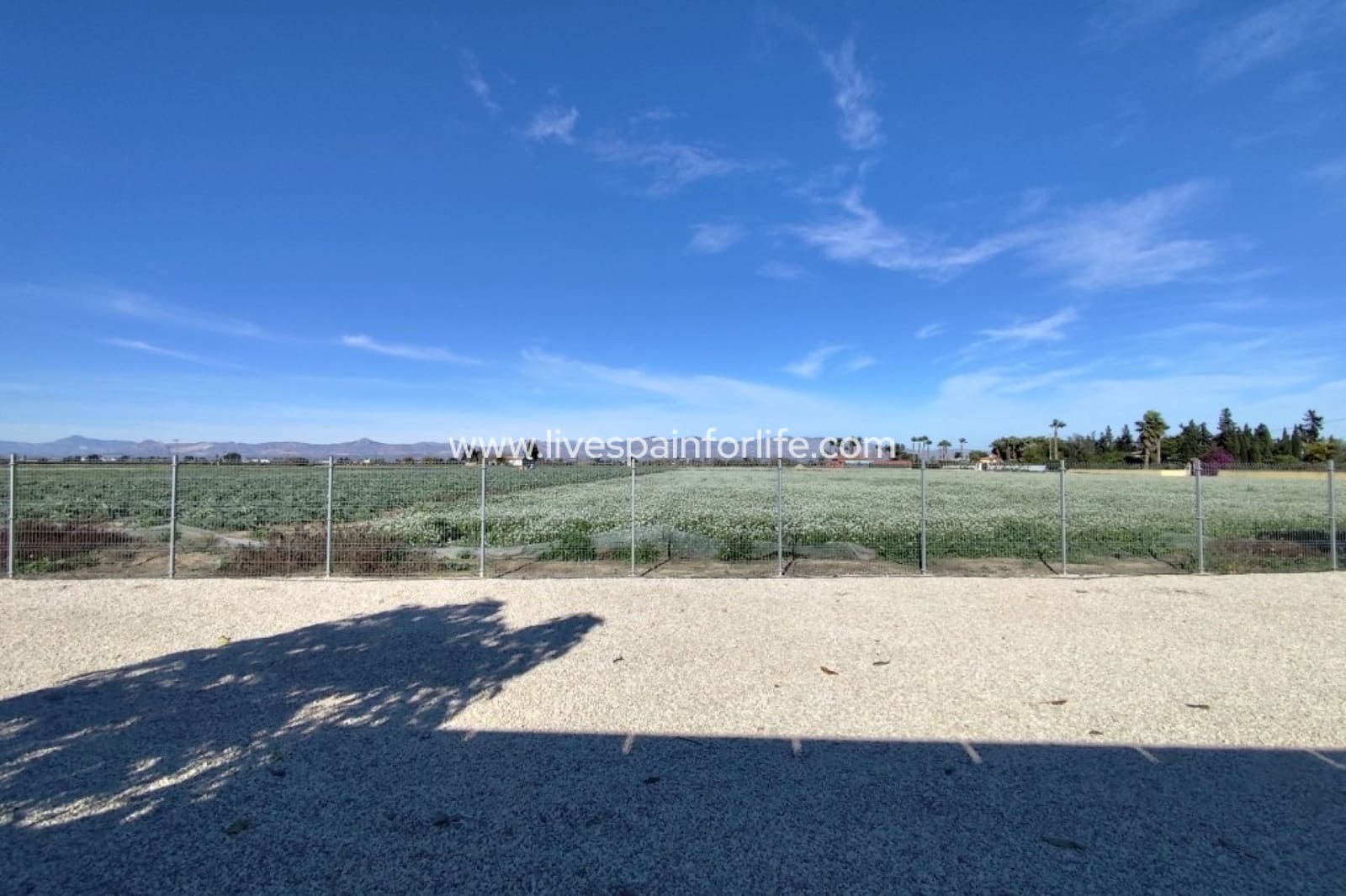 3 soverom Finca/Herregård til salgs i Callosa de Segura med svømmebasseng garasje - € 590 000 (Ref: 9737077)