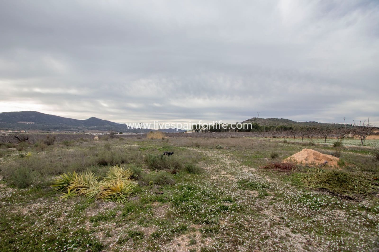 Finca/Casa Rural de 2 habitaciones en Hondón de las Nieves en venta con piscina garaje - 339.995 € (Ref: 9756629)