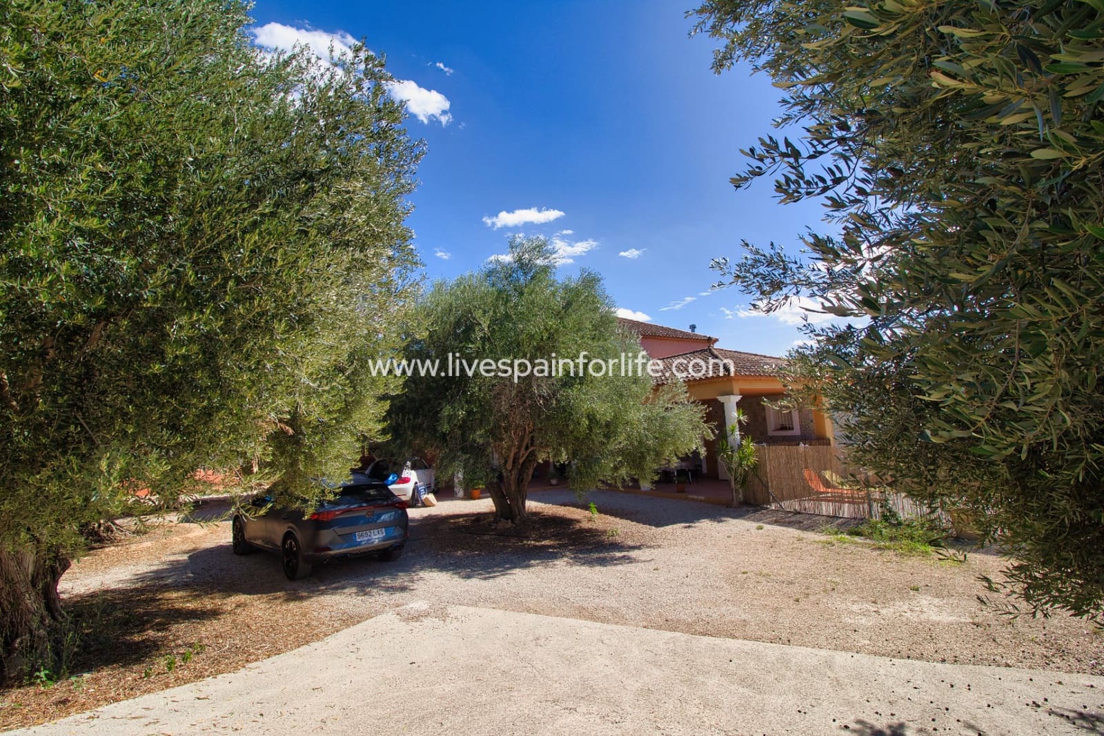 6 bedroom Finca/Country House for sale in Albatera with pool - € 280,000 (Ref: 9757566)