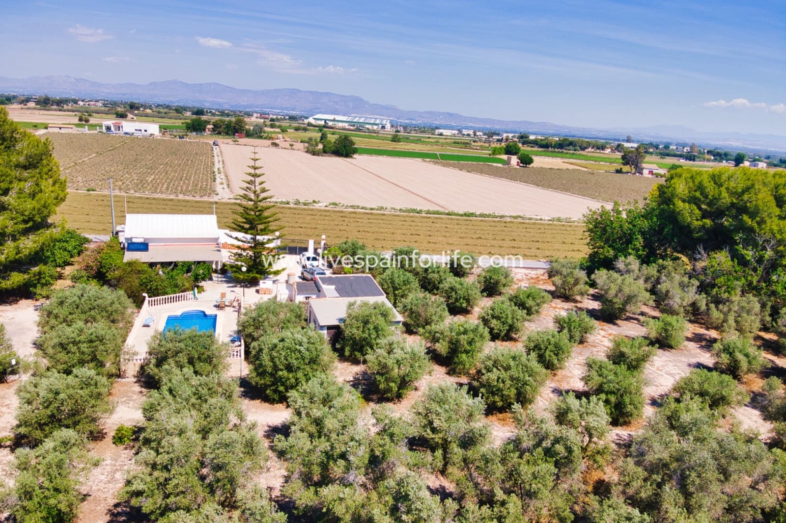 3 soveværelse Finca/Landehus til salg i Dolores med swimmingpool garage - € 495.000 (Ref: 9757581)