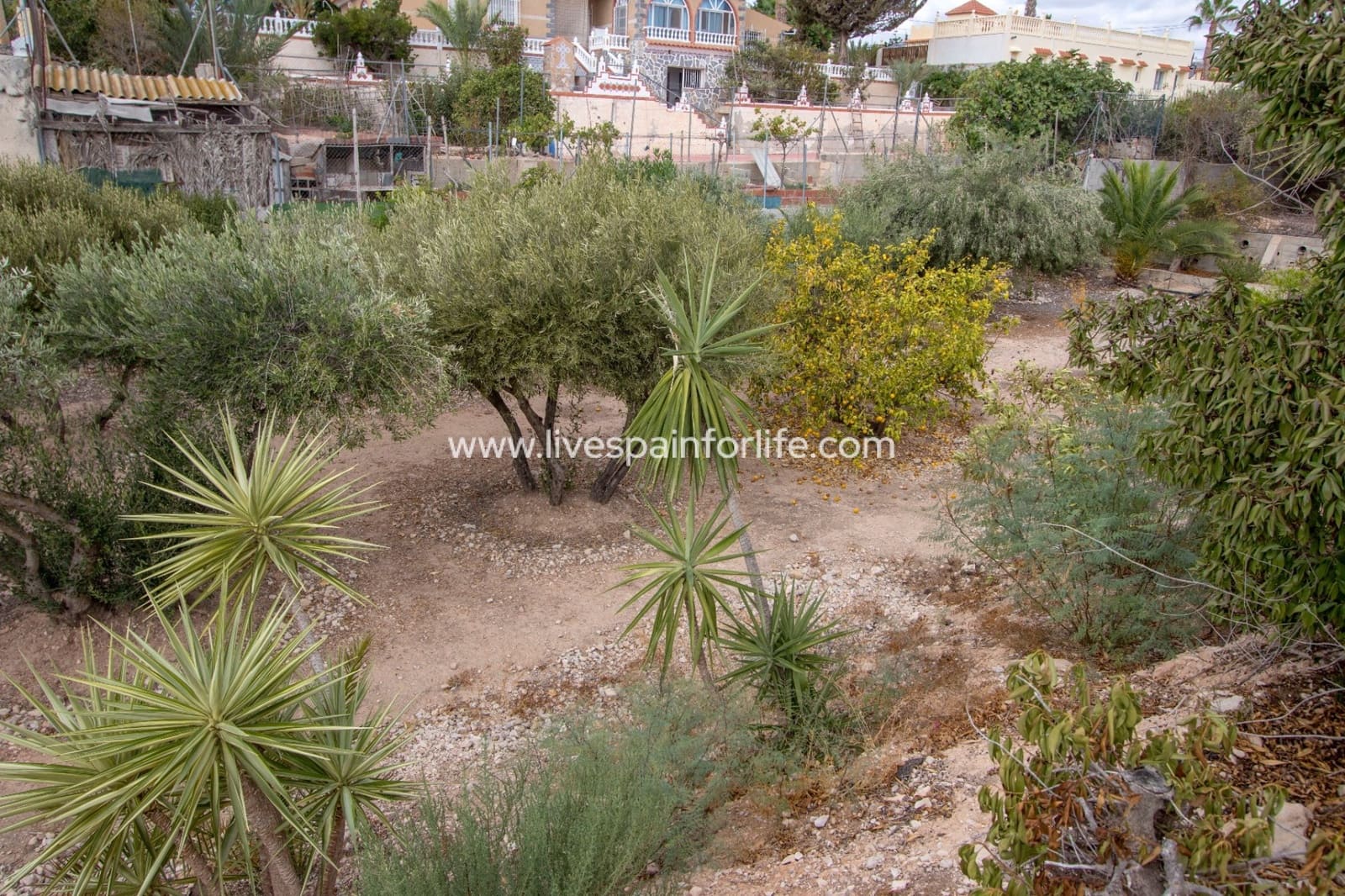 Finca/Casa Rural de 7 habitaciones en Albatera en venta con piscina garaje - 390.000 € (Ref: 9774456)