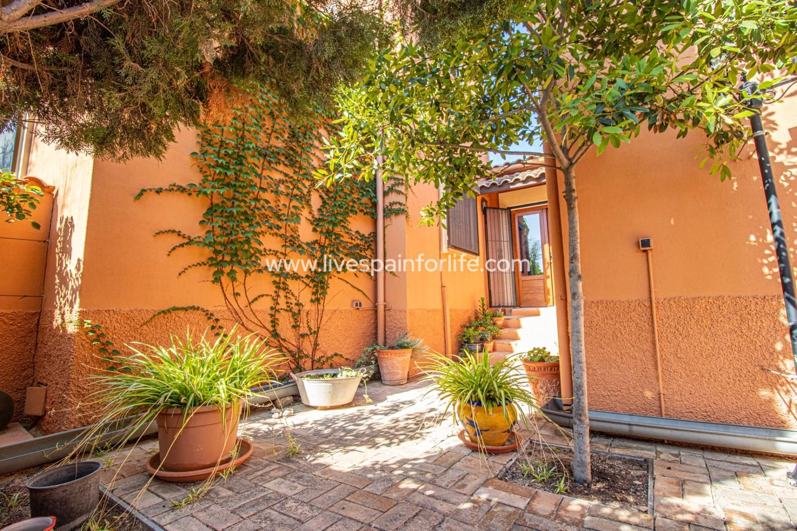 7 camera da letto Finca/Casa di Campagna in vendita in Catral con piscina garage - 975.000 € (Rif: 9776866)