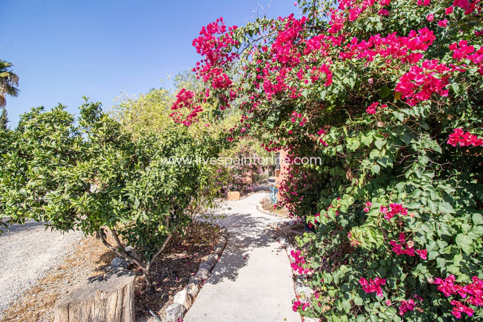 7 camera da letto Finca/Casa di Campagna in vendita in Catral con piscina garage - 975.000 € (Rif: 9776866)