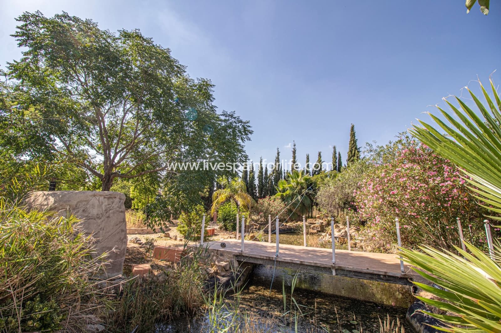 7 camera da letto Finca/Casa di Campagna in vendita in Catral con piscina garage - 975.000 € (Rif: 9776866)