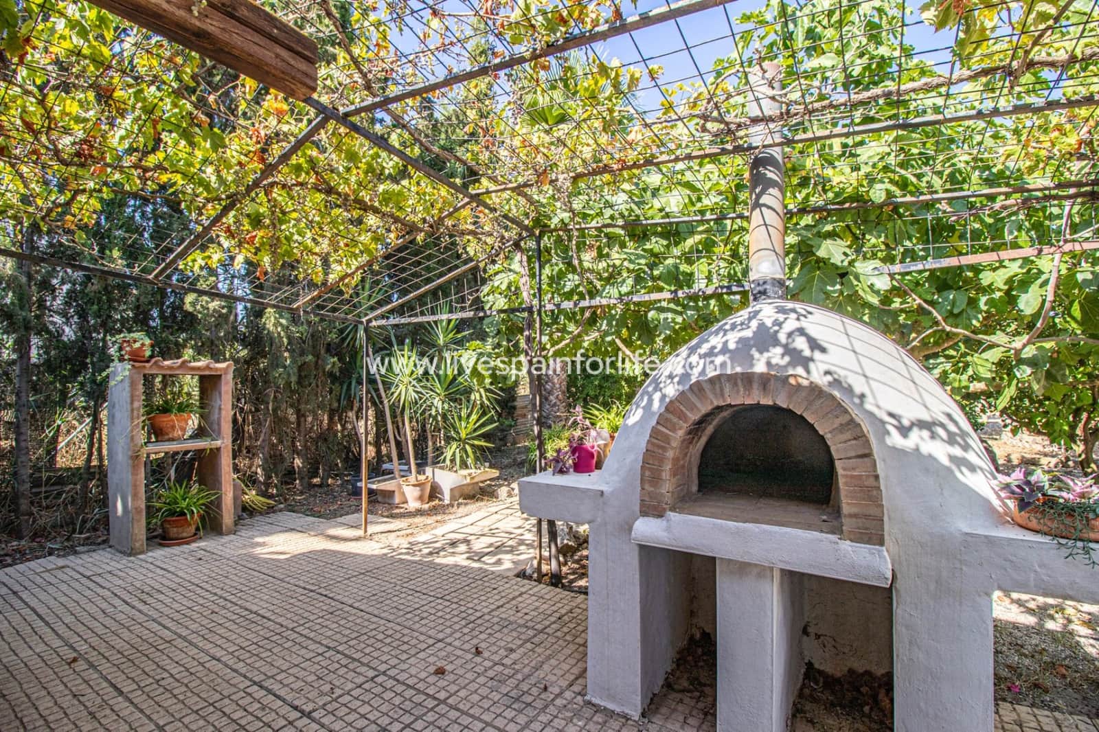 7 camera da letto Finca/Casa di Campagna in vendita in Catral con piscina garage - 975.000 € (Rif: 9776867)