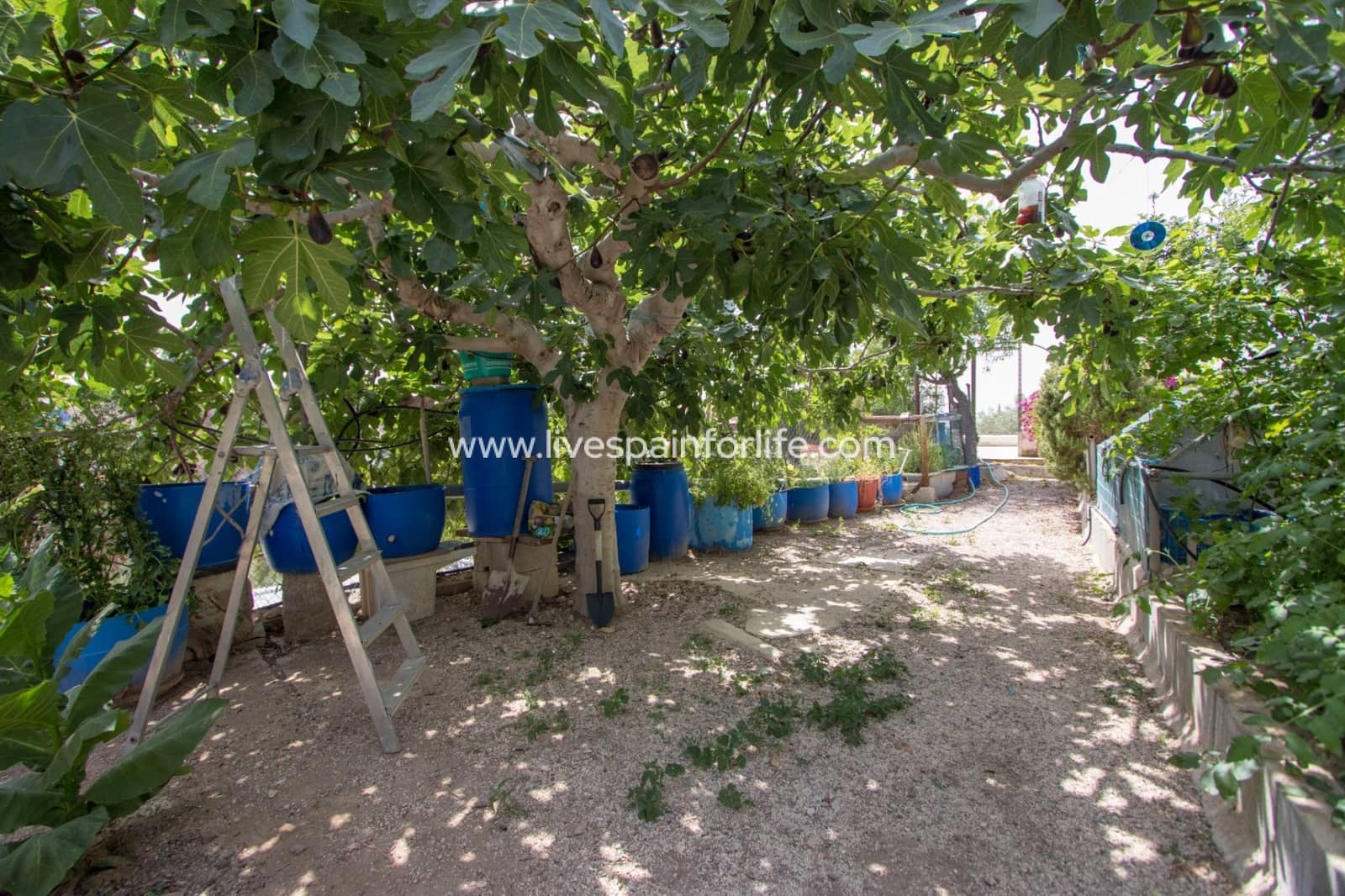 3 slaapkamer Finca/Landhuis te koop in Albatera met zwembad garage - € 260.000 (Ref: 9778830)