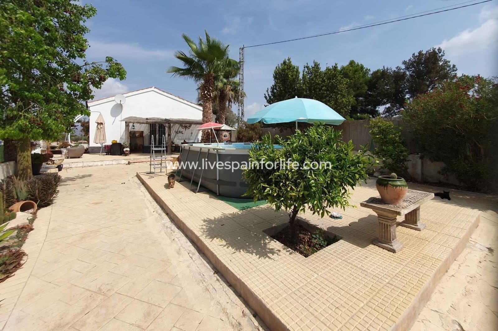 3 camera da letto Finca/Casa di Campagna in vendita in Catral con piscina - 265.000 € (Rif: 9778842)