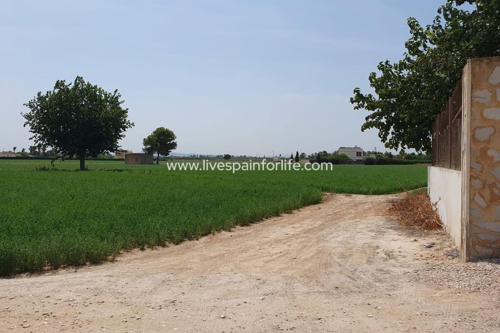 3 camera da letto Finca/Casa di Campagna in vendita in Catral con piscina - 265.000 € (Rif: 9778842)