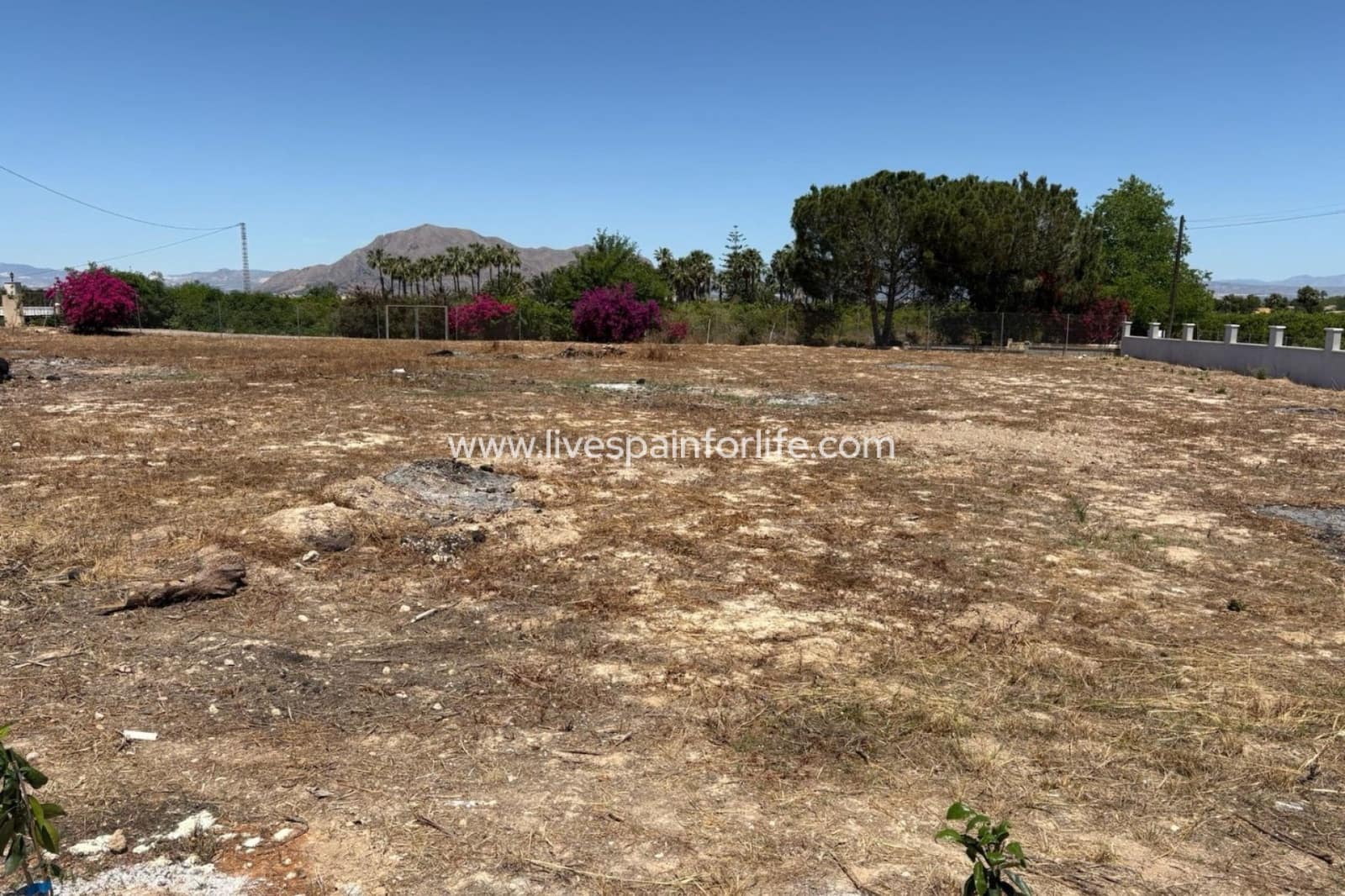 5 chambre Finca/Maison de Campagne à vendre à Alicante ville avec piscine garage - 595 000 € (Ref: 9787657)