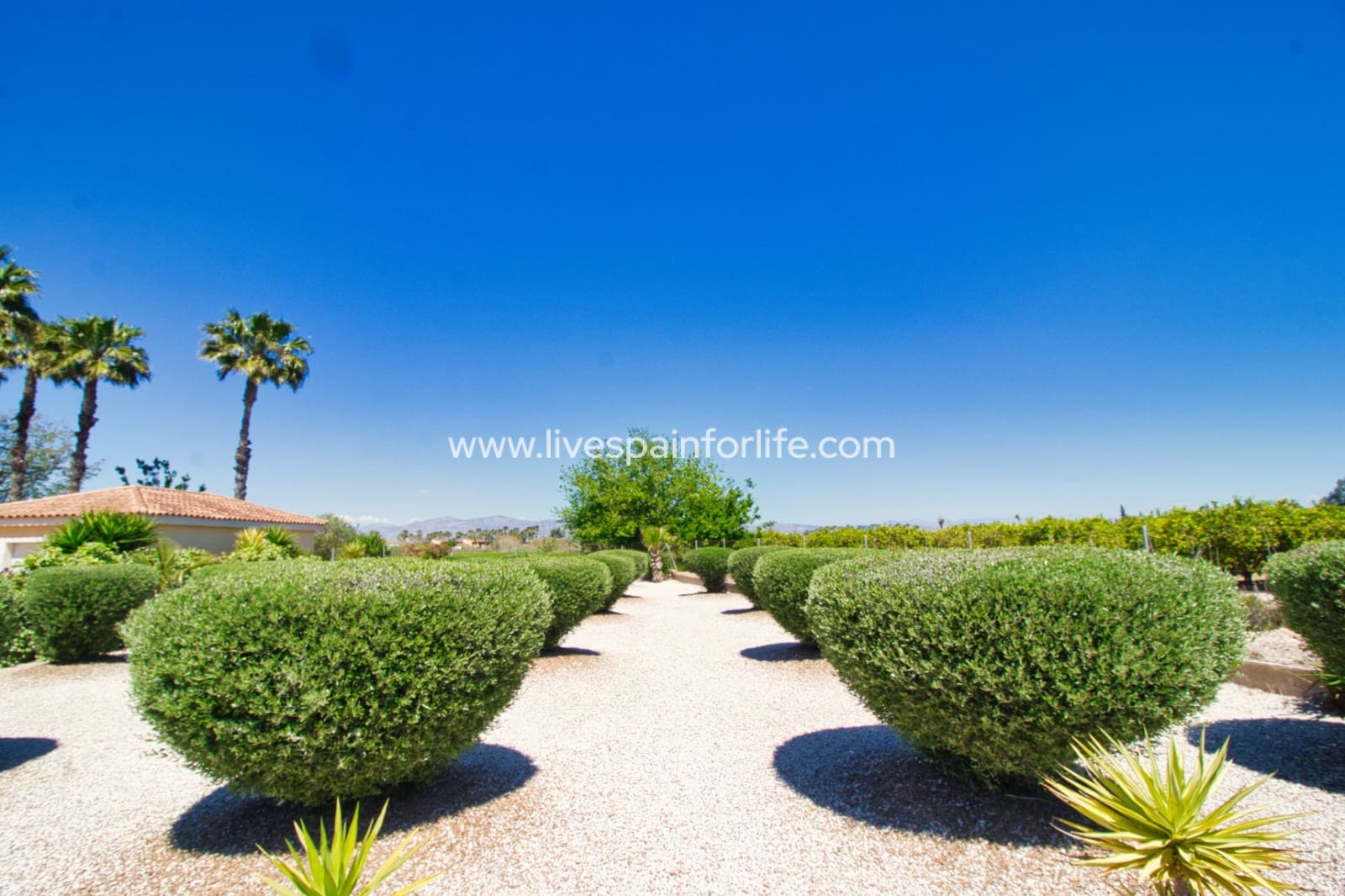 3 soveværelse Finca/Landehus til salg i Catral med swimmingpool garage - € 379.995 (Ref: 9789395)