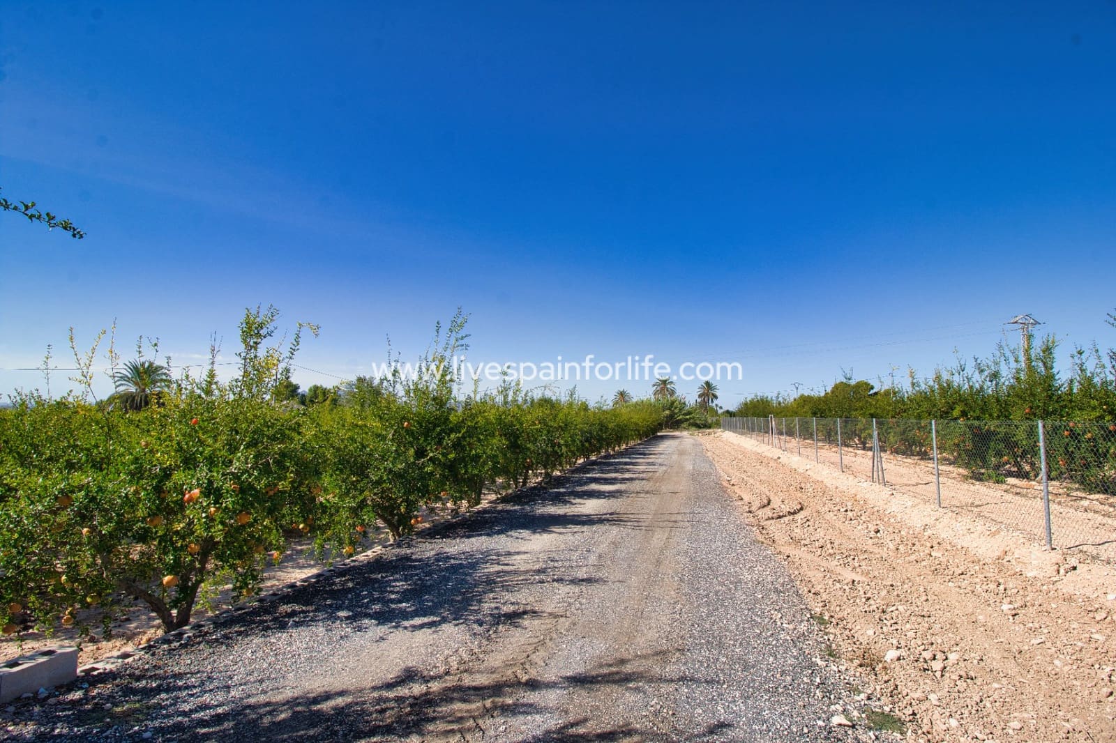 4 camera da letto Finca/Casa di Campagna in vendita in Crevillente / Crevillent con piscina garage - 495.000 € (Rif: 9789547)