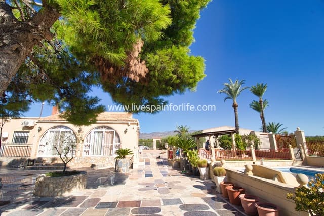 4 sovrum Finca/Hus på landet till salu i Crevillente / Crevillent med pool garage - 495 000 € (Ref: 9789547)