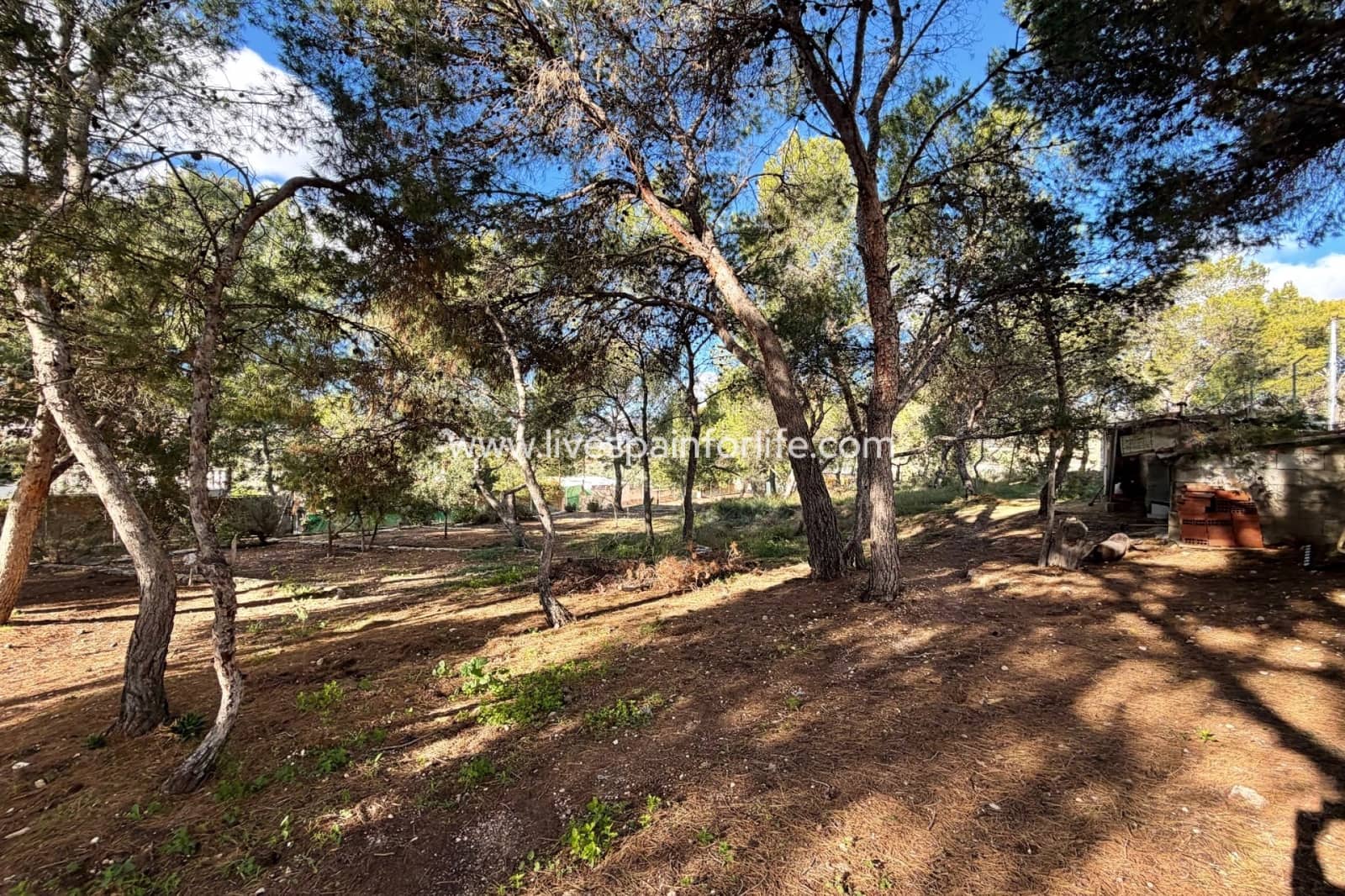 3 soveværelse Finca/Landehus til salg i La Romana med swimmingpool garage - € 280.000 (Ref: 9789551)