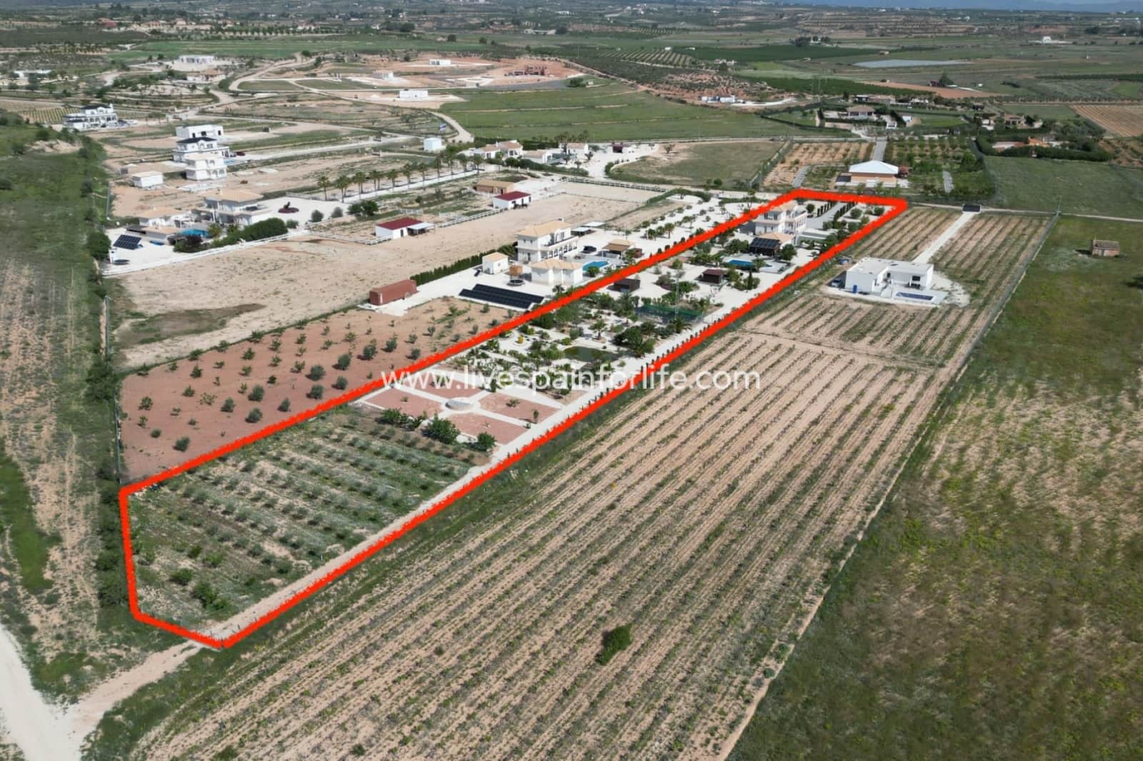 4 quarto Moradia para venda em Pinoso com piscina garagem - 649 950 € (Ref: 9801436)