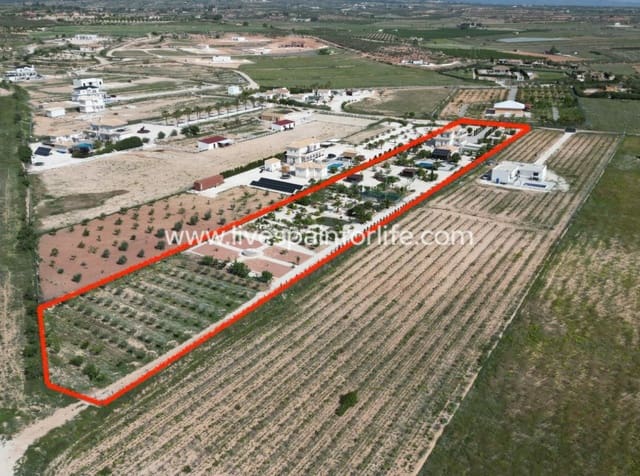 4 camera da letto Villa in vendita in Pinoso con piscina - 649.950 € (Rif: 9801436)