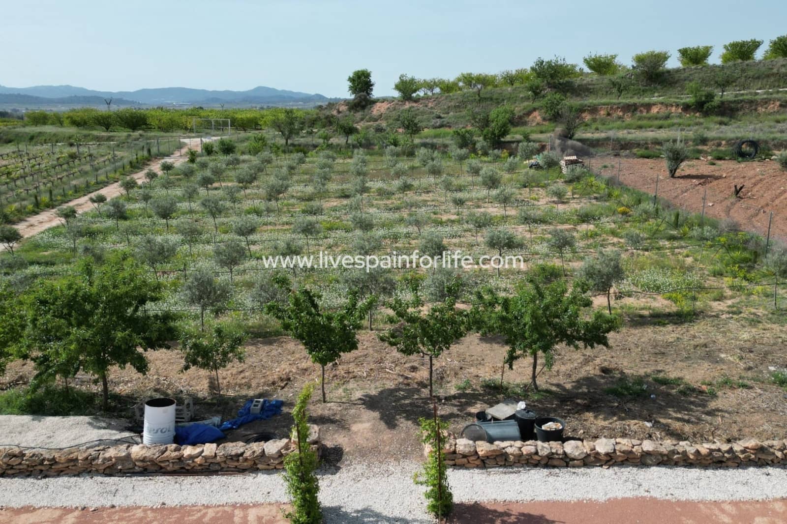 4 Zimmer Villa zu verkaufen in Pinoso mit Pool Garage - 649.950 € (Ref: 9801437)