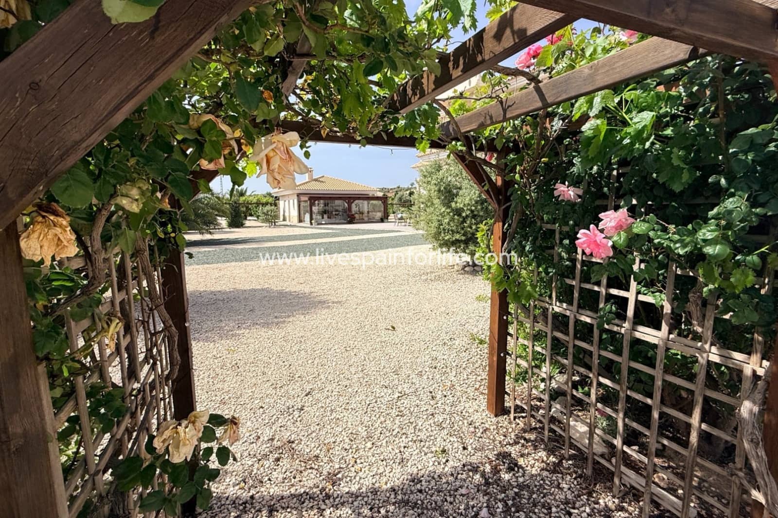 4 Zimmer Villa zu verkaufen in Pinoso mit Pool Garage - 649.950 € (Ref: 9801437)