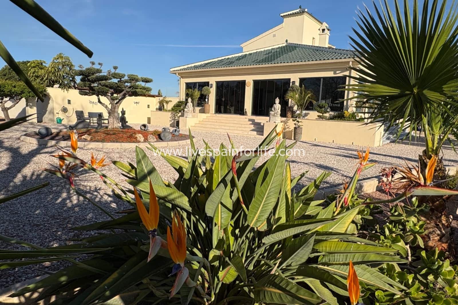 4 bedroom Finca/Country House for sale in Dolores with pool garage - € 649,000 (Ref: 9802578)