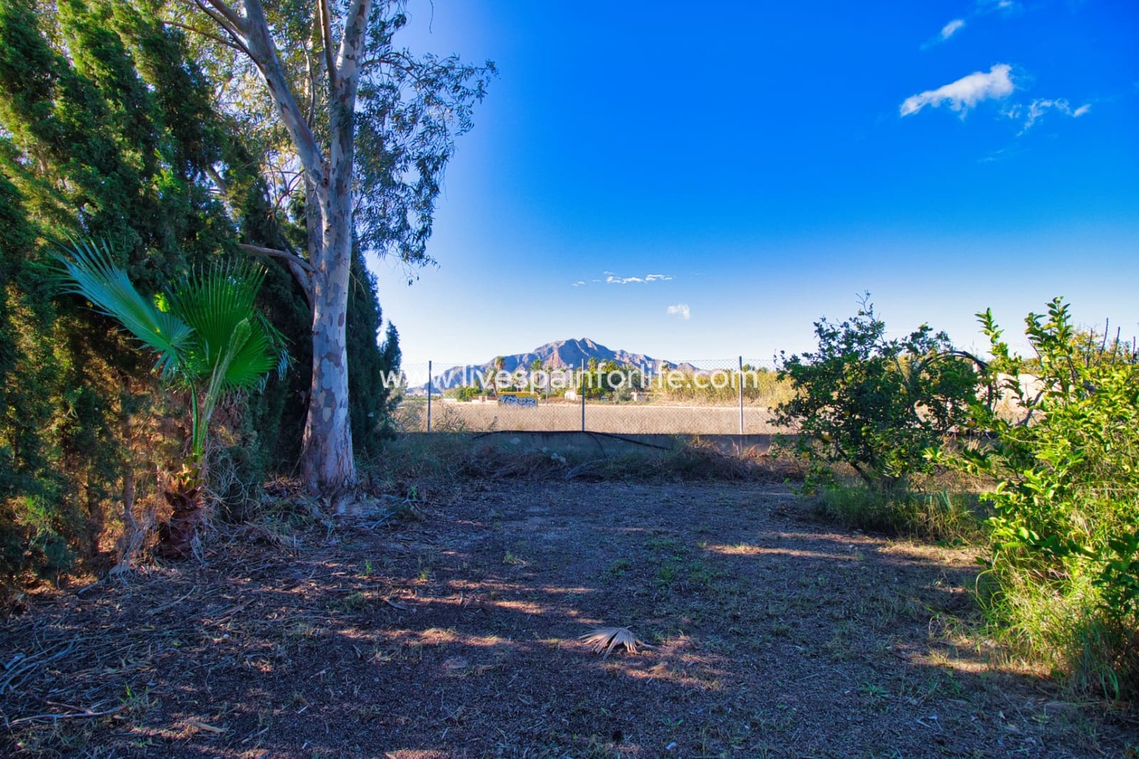 Finca/Casa Rural de 3 habitaciones en Callosa de Segura en venta con piscina - 480.000 € (Ref: 9802580)