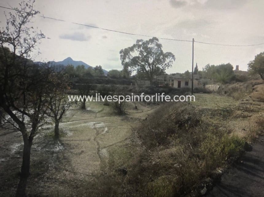 Solar/Parcela en Aspe en venta - 100.000 € (Ref: 9802587)