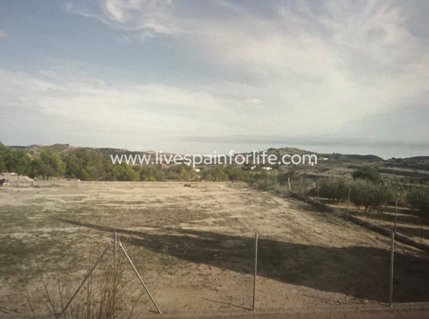 Solar/Parcela en Aspe en venta - 100.000 € (Ref: 9802587)