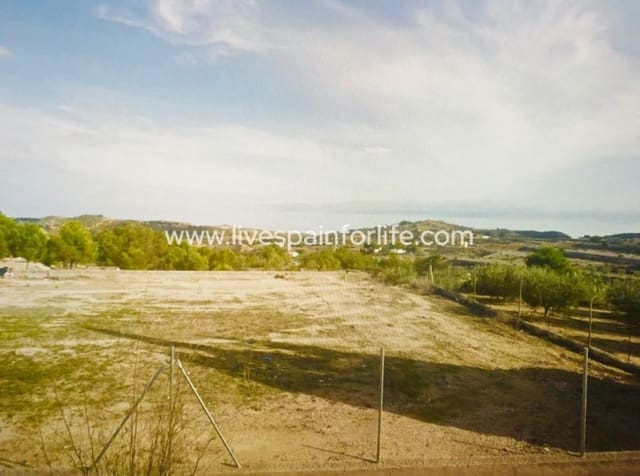 Solar/Parcela en Aspe en venta - 100.000 € (Ref: 9802587)