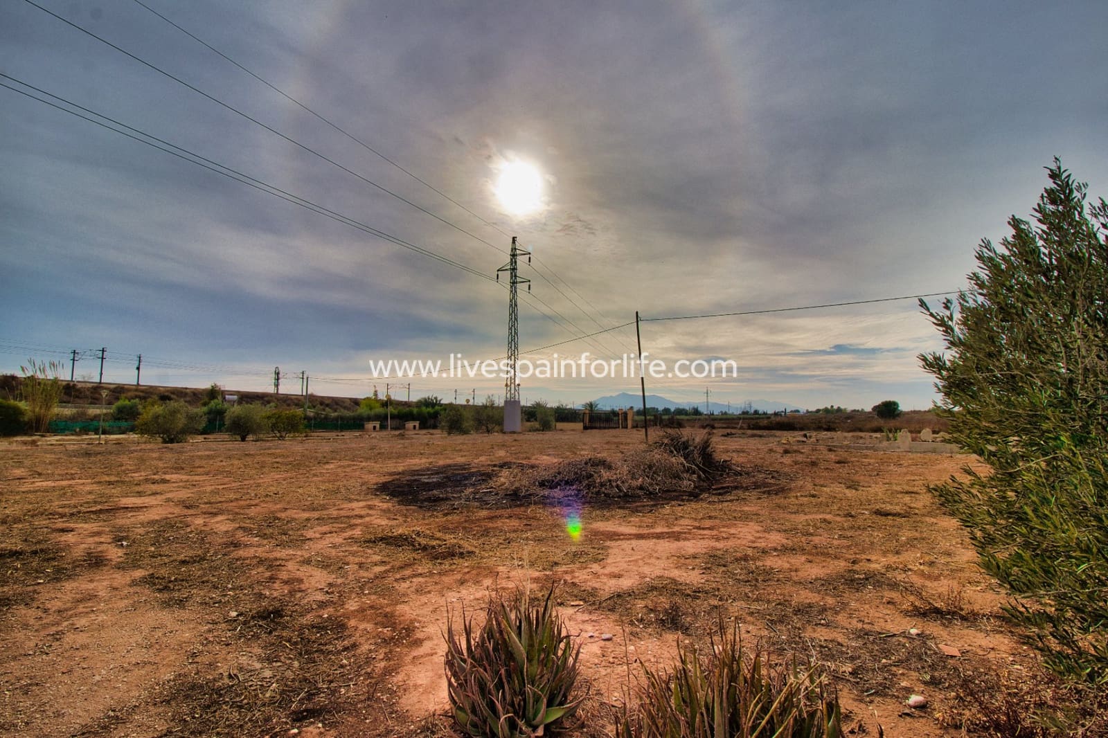 Finca/Casa Rural de 4 habitaciones en Crevillente / Crevillent en venta con piscina garaje - 359.000 € (Ref: 9802590)