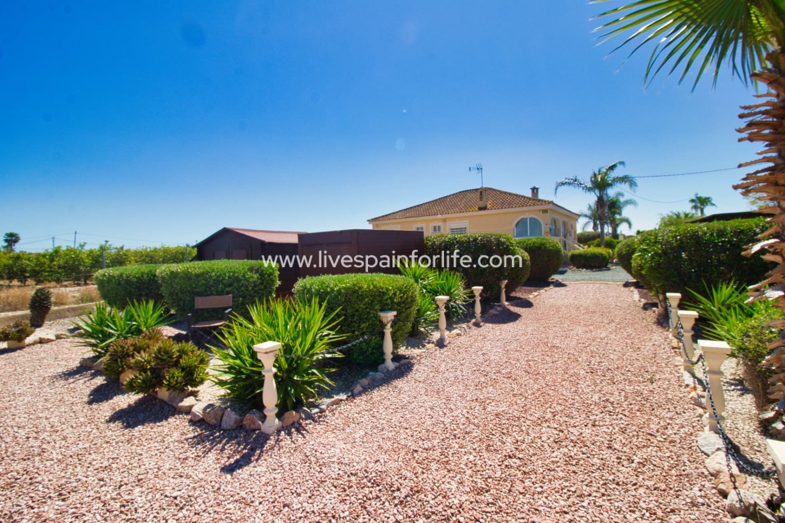 3 bedroom Finca/Country House for sale in Dolores with pool garage - € 379,995 (Ref: 9802591)