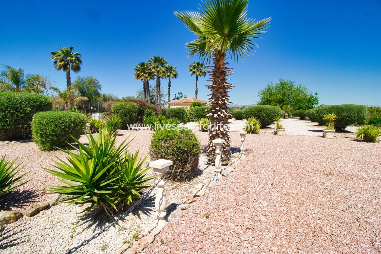 3 bedroom Finca/Country House for sale in Dolores with pool garage - € 379,995 (Ref: 9802591)