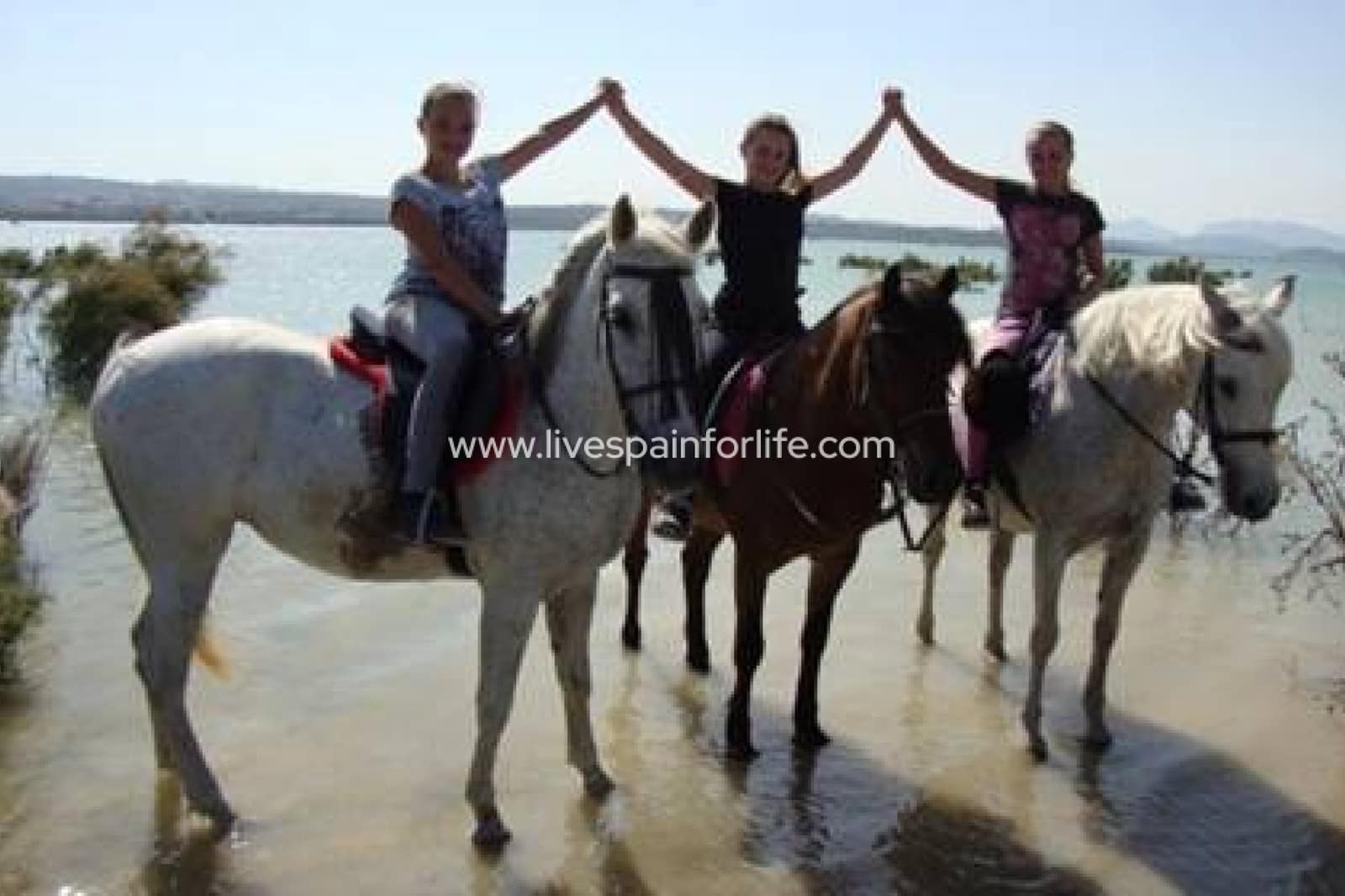 4 soveværelse Finca/Landehus til salg i Torremendo med swimmingpool garage - € 1.745.000 (Ref: 9804960)