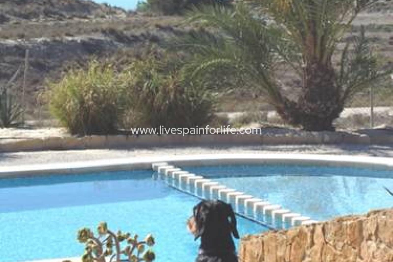 4 soveværelse Finca/Landehus til salg i Torremendo med swimmingpool garage - € 1.745.000 (Ref: 9804960)