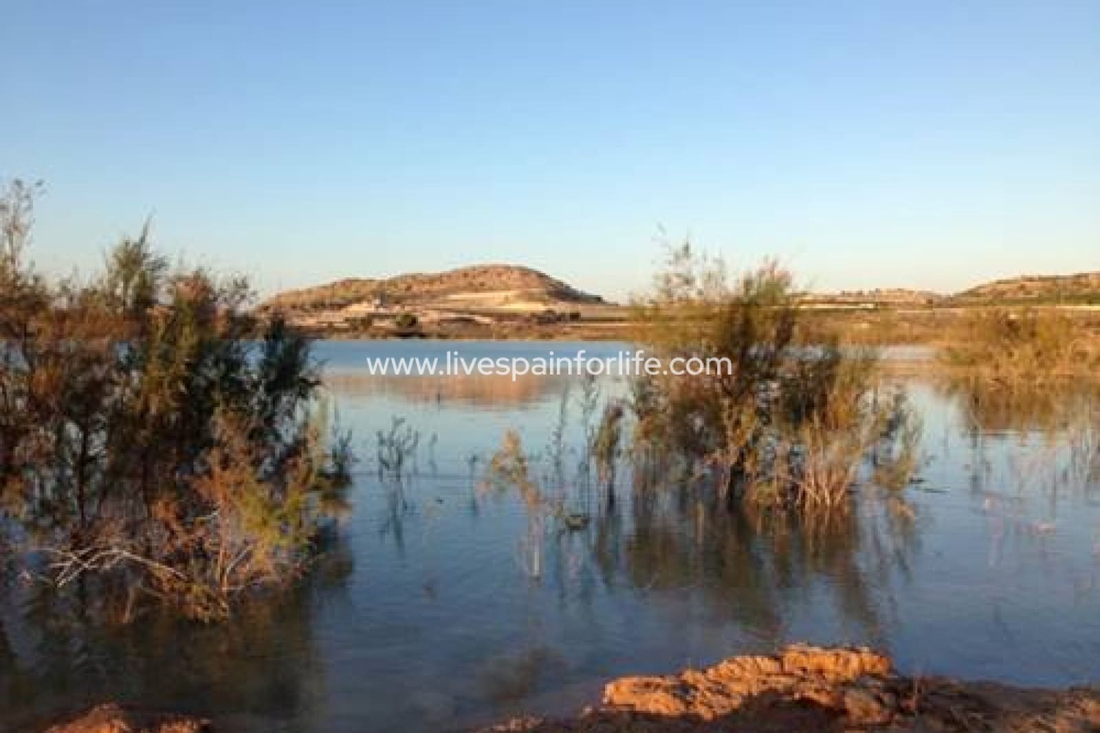 4 soveværelse Finca/Landehus til salg i Torremendo med swimmingpool garage - € 1.745.000 (Ref: 9804960)