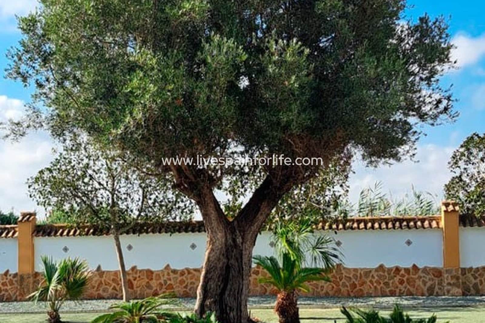 3 sovrum Finca/Hus på landet till salu i Catral med garage - 385 000 € (Ref: 9804965)