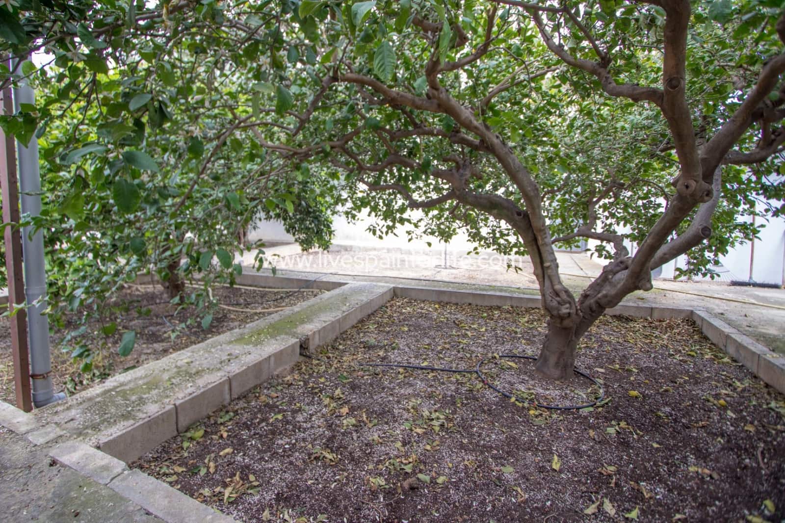 5 sovrum Finca/Hus på landet till salu i Albatera med pool garage - 320 000 € (Ref: 9804966)