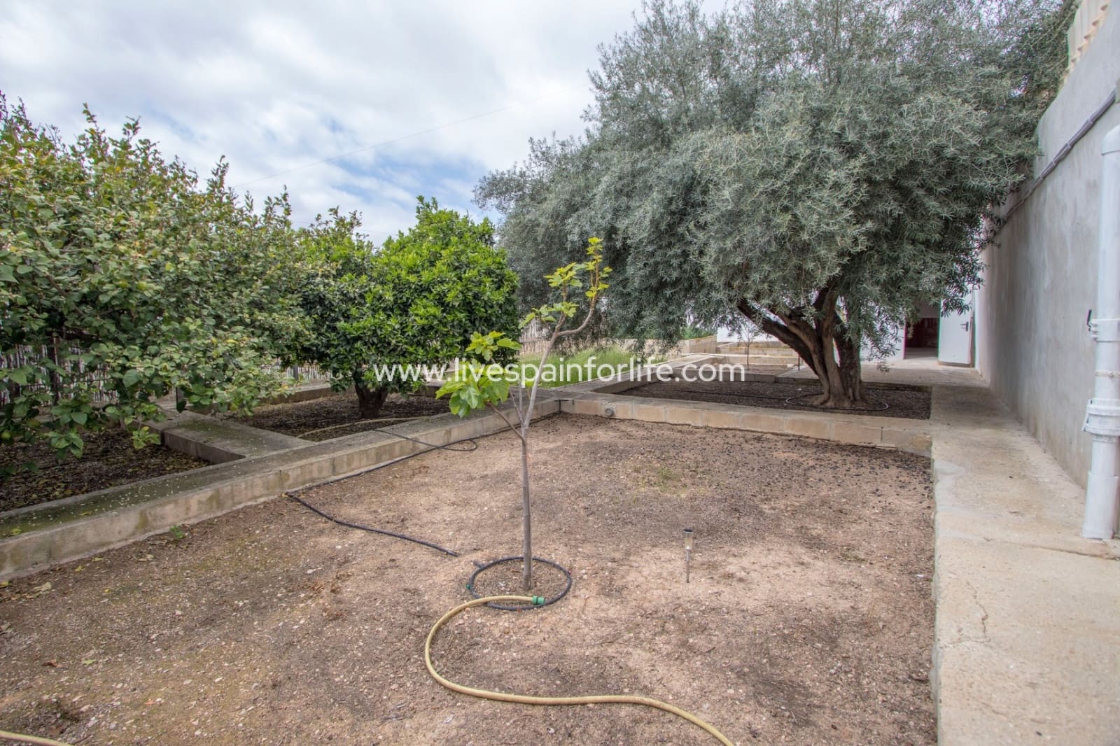 5 camera da letto Finca/Casa di Campagna in vendita in Albatera con piscina garage - 320.000 € (Rif: 9808354)