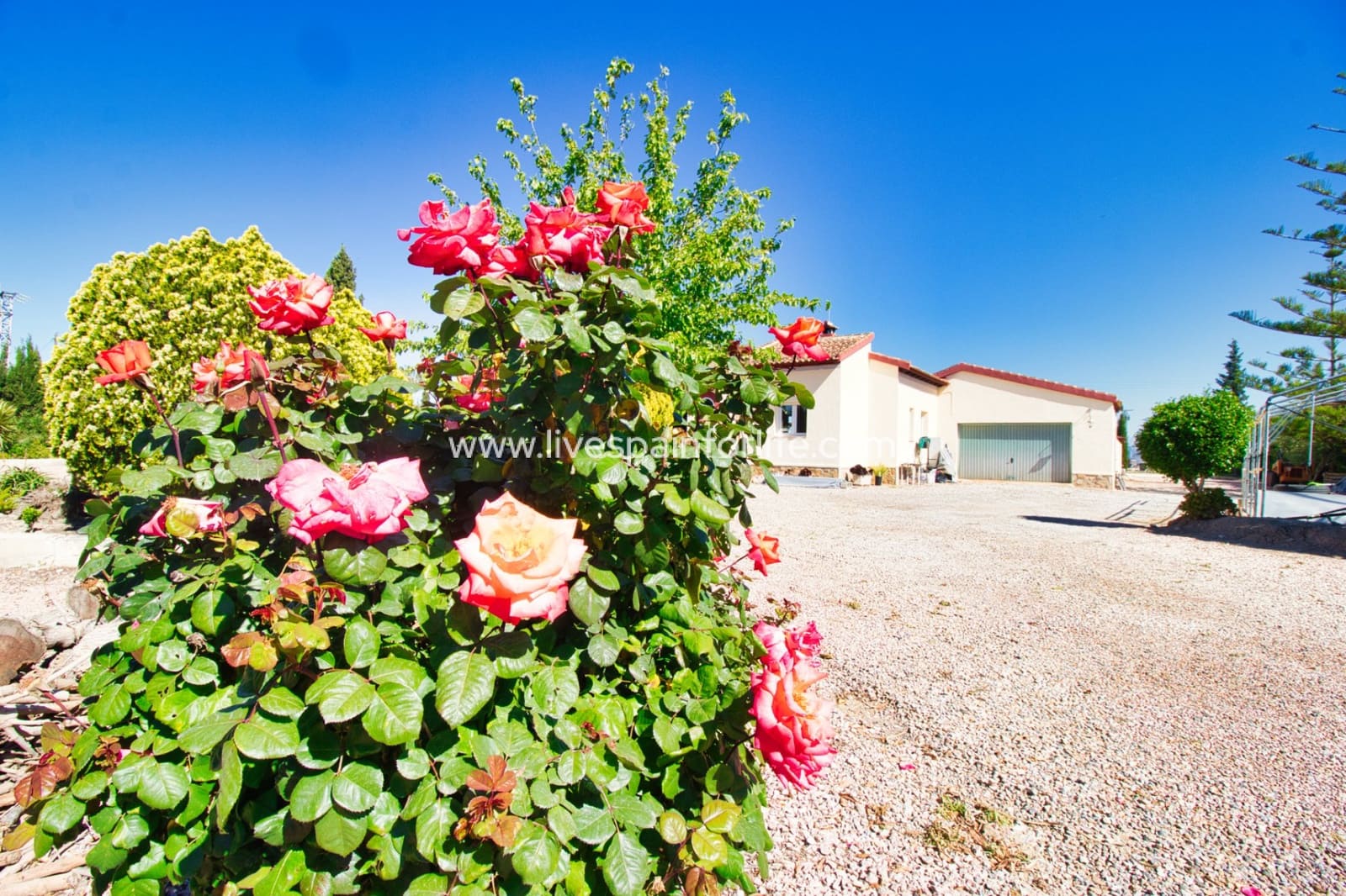 Finca/Casa Rural de 4 habitaciones en Daya Vieja en venta con piscina garaje - 539.000 € (Ref: 9812605)
