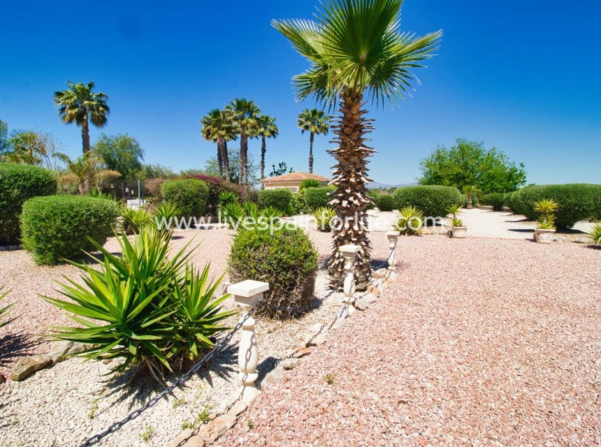 3 soveværelse Finca/Landehus til salg i Catral med swimmingpool garage - € 379.995 (Ref: 9821336)
