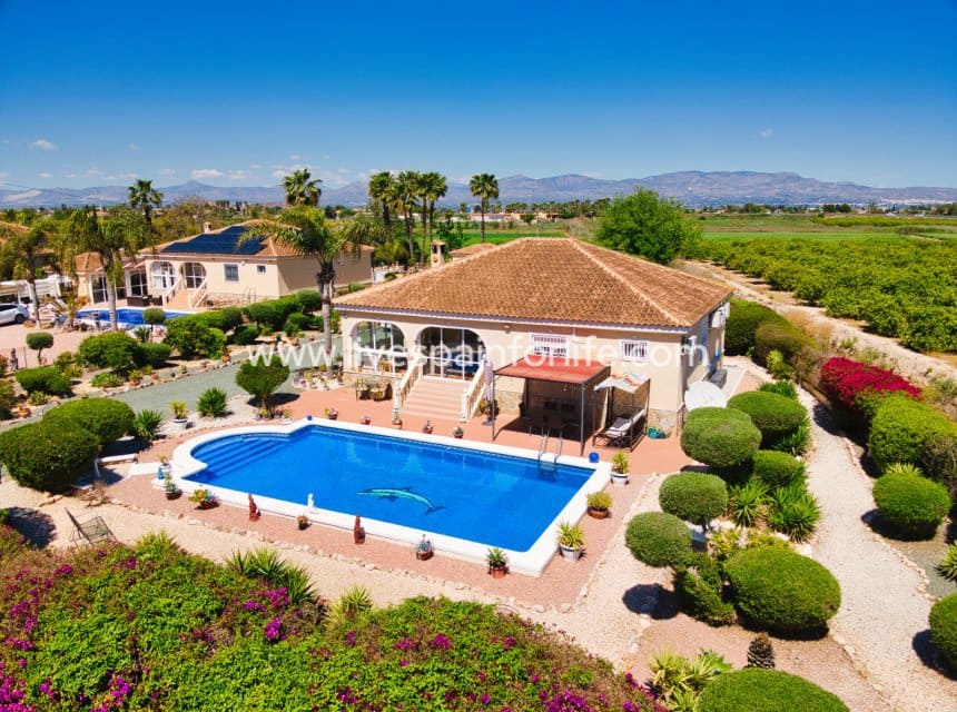 3 soveværelse Finca/Landehus til salg i Catral med swimmingpool garage - € 379.995 (Ref: 9821336)