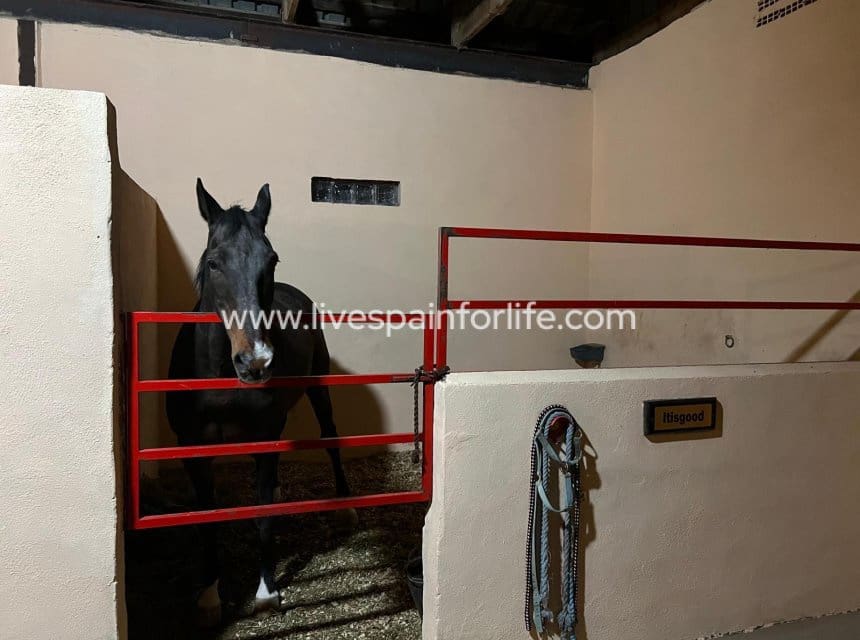 3 camera da letto Finca/Casa di Campagna in vendita in Torre del Rico - 510.000 € (Rif: 9821354)