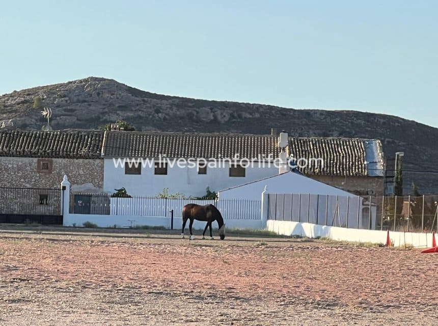 3 camera da letto Finca/Casa di Campagna in vendita in Torre del Rico - 510.000 € (Rif: 9821354)