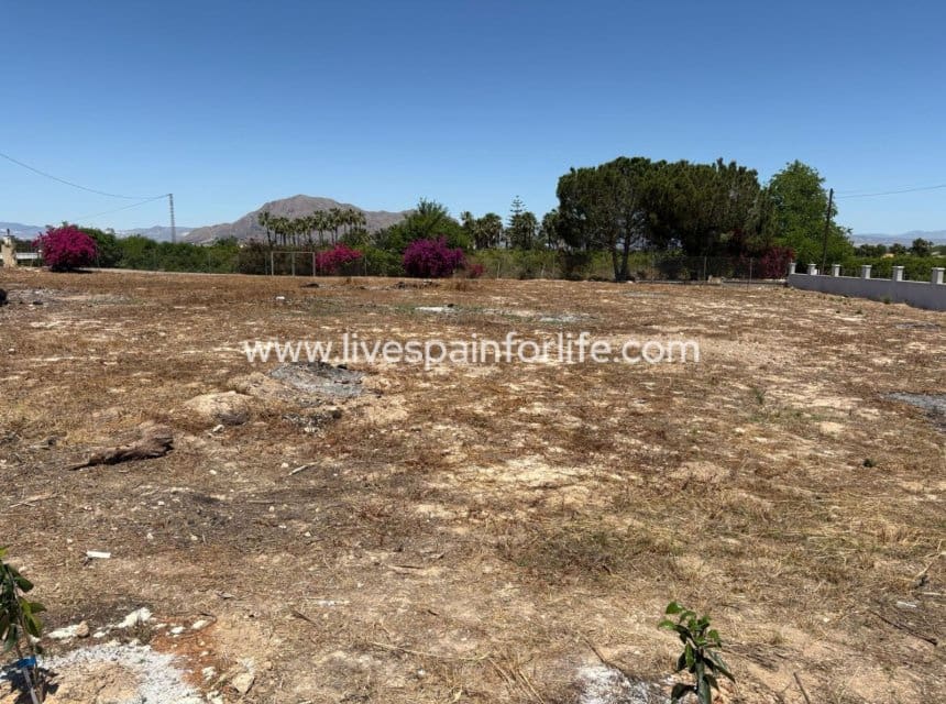 5 soveværelse Finca/Landehus til salg i Jacarilla med swimmingpool garage - € 595.000 (Ref: 9827484)